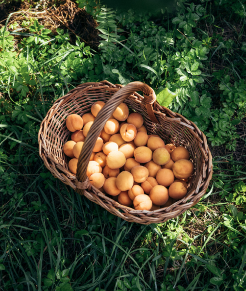 Unterthurner Marille 0,7 l